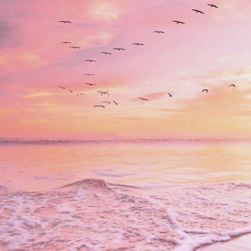 Meet your Posher, Jib